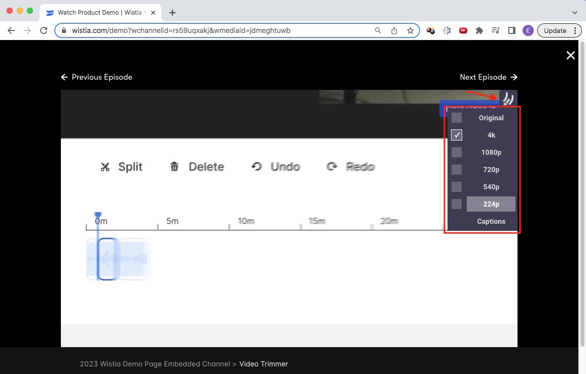 download wistia video with chrome extension